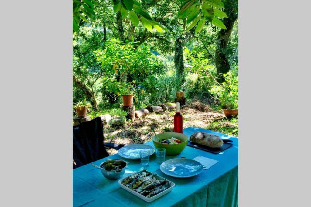 Quinta Biologica, Com Vista, Na Serra De Sintra Luaran gambar