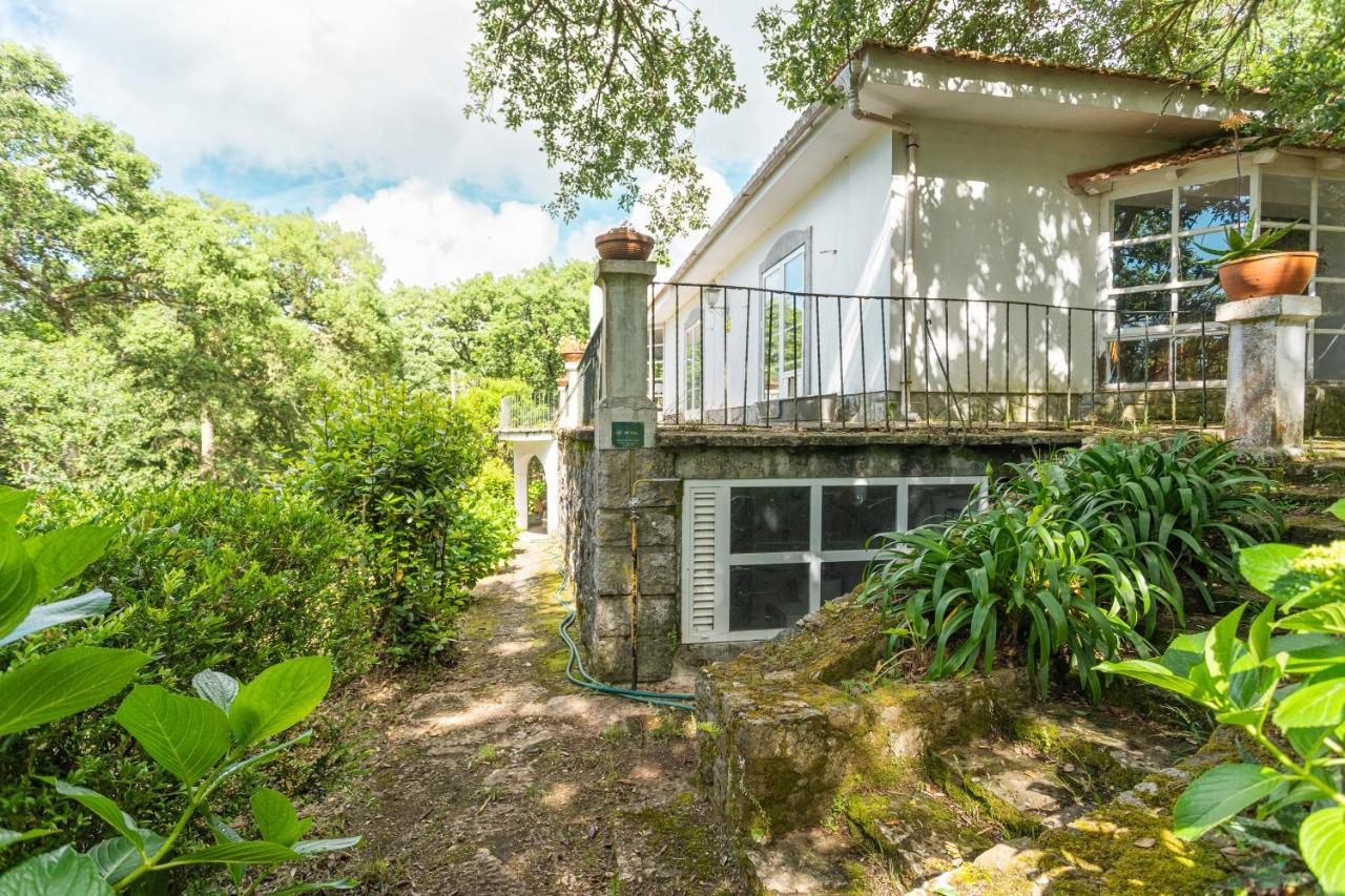 Quinta Biologica, Com Vista, Na Serra De Sintra Luaran gambar