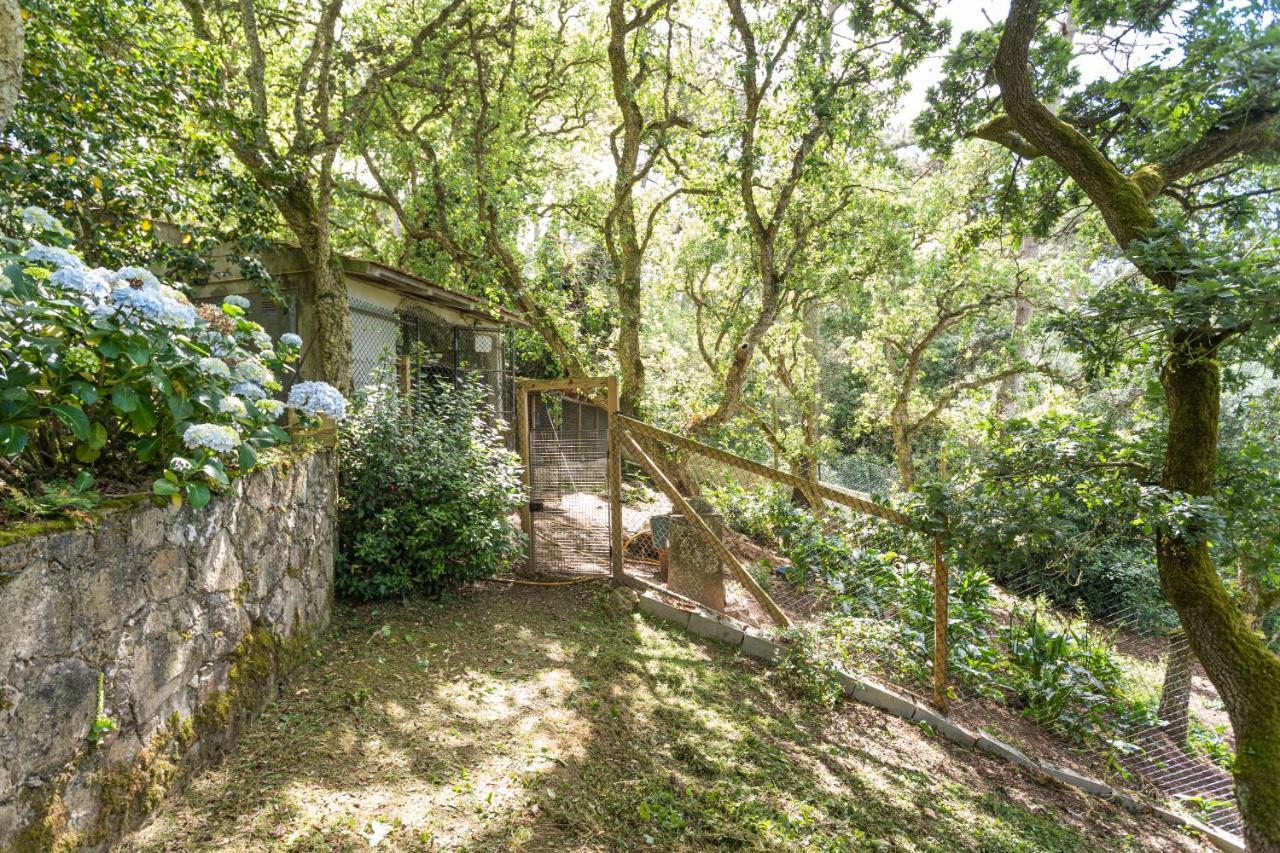 Quinta Biologica, Com Vista, Na Serra De Sintra Luaran gambar