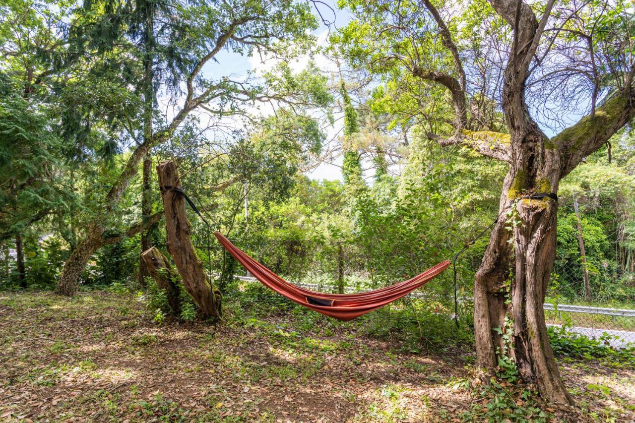 Quinta Biologica, Com Vista, Na Serra De Sintra Luaran gambar
