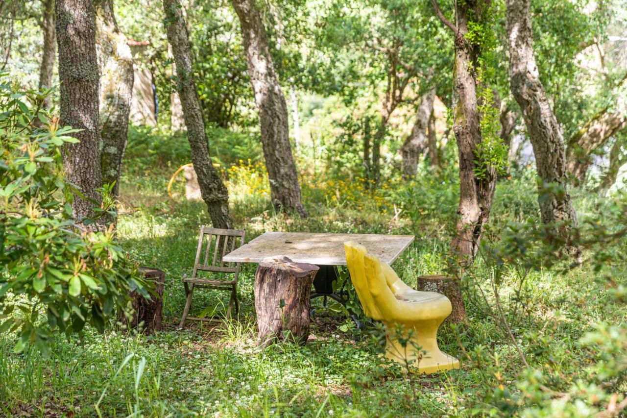 Quinta Biologica, Com Vista, Na Serra De Sintra Luaran gambar