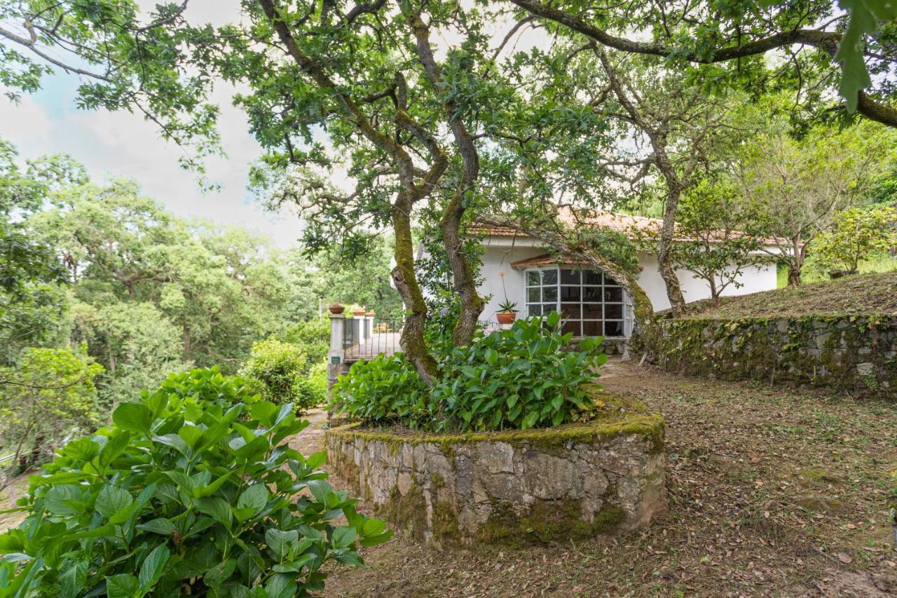 Quinta Biologica, Com Vista, Na Serra De Sintra Luaran gambar
