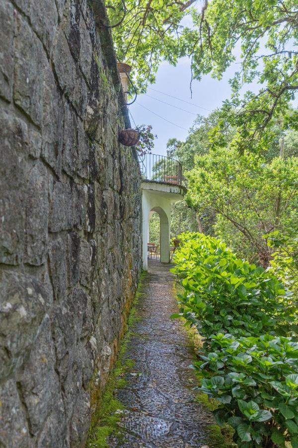 Quinta Biologica, Com Vista, Na Serra De Sintra Luaran gambar